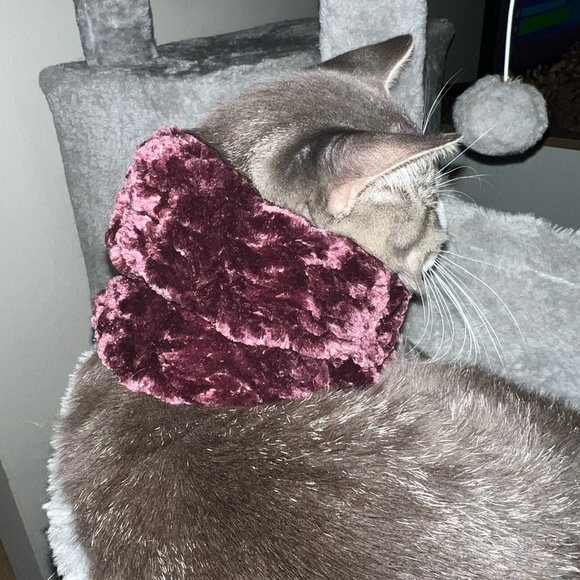 Homemade crochet Velvet/ purple very soft neck warmer small for cats - Picture 3 of 5